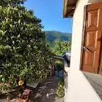 Orizontas Pilio Kissos (Thessaly)
